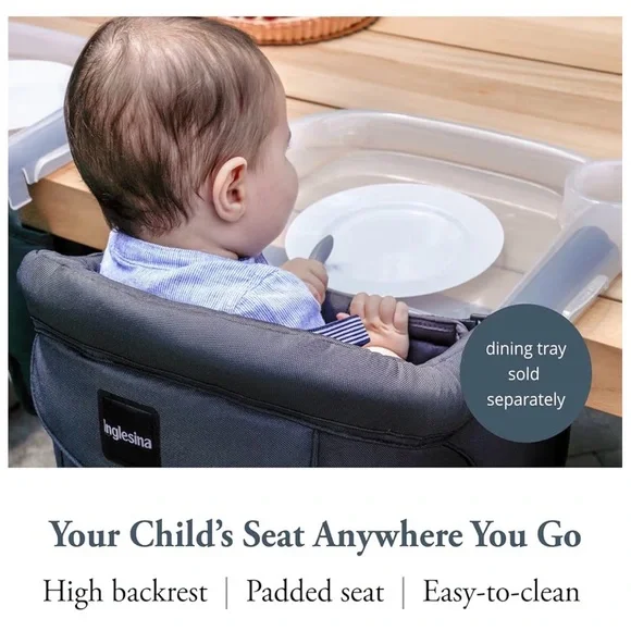 Inglesina Baby High Chair with Tray